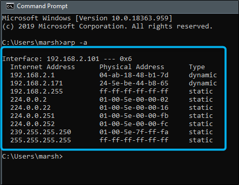 returned ip addresses in command prompt
