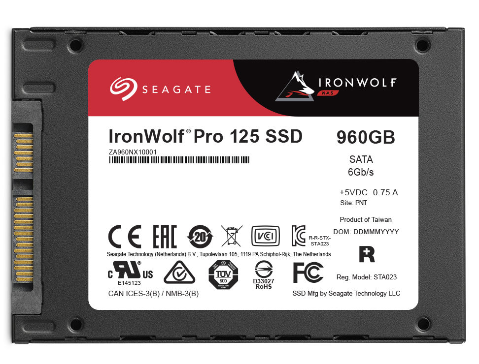 Seagate IronWolf Pro 125 SSD