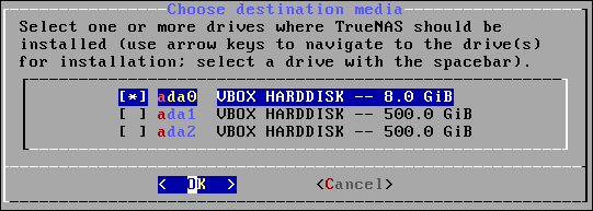 TrueNAS installation disk selection menu