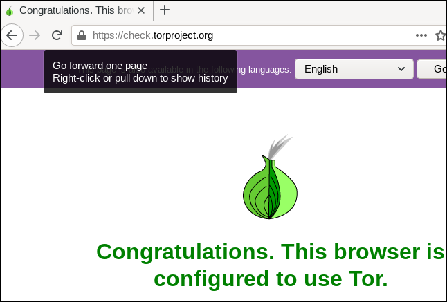 The Tor browser